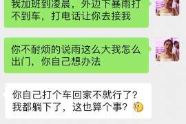 灵台商务调查